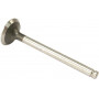 Soupape d'échappement VAPORMATIC VPA1160
