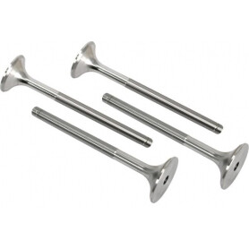 Soupape d'échappement VAPORMATIC VPA1210