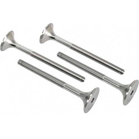Soupape d'échappement VAPORMATIC VPA1210