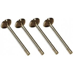 Soupape d'échappement VAPORMATIC VPA1360