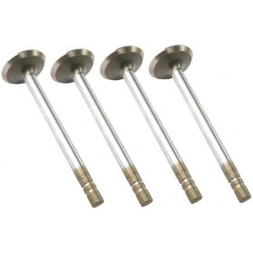 Soupape d'échappement VAPORMATIC VPA1362
