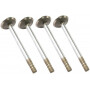 Soupape d'échappement VAPORMATIC VPA1362
