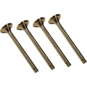 Soupape d'échappement VAPORMATIC VPA1450