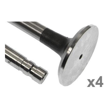 Soupape d'échappement VAPORMATIC VPA1501