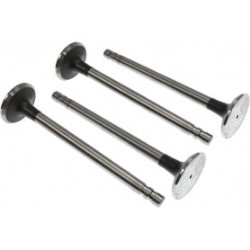 Soupape d'échappement VAPORMATIC VPA1502