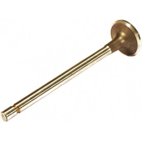 Soupape d'échappement VAPORMATIC VPA1550