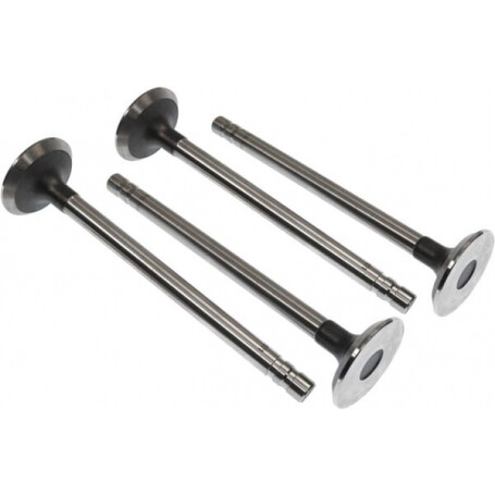 Soupape d'échappement VAPORMATIC VPA1571