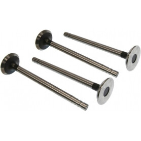 Soupape d'échappement VAPORMATIC VPA1572