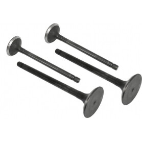 Soupape d'échappement VAPORMATIC VPA1660