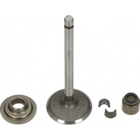 Soupape d'admission BRIGGS ET STRATTON 792200