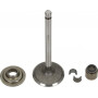 Soupape d'admission BRIGGS ET STRATTON 792200