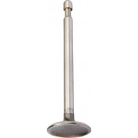 Soupape d'admission BRIGGS ET STRATTON 590393