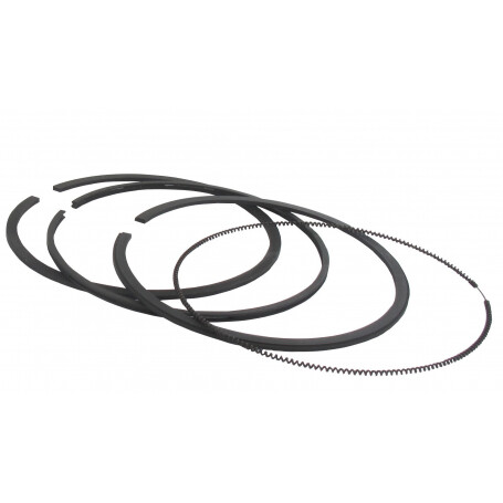 Segments BRIGGS ET STRATTON 696403