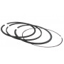 Segments BRIGGS ET STRATTON 696403
