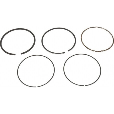 Segments STIGA 1185504470 - 118550447/0