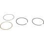 Segment KOHLER 1210807S
