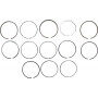 Segments UNIVERSEL 41158057N