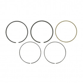 Segments BRIGGS ET STRATTON 795431