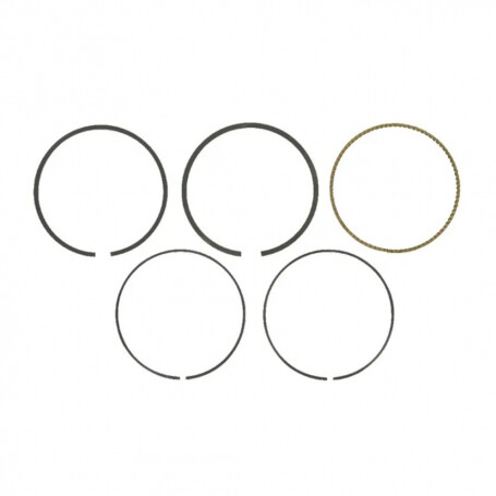 Segments BRIGGS ET STRATTON 795431