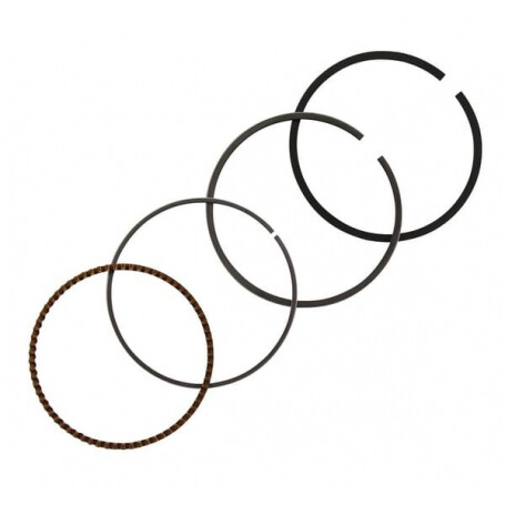 Kit de segments BRIGGS ET STRATTON 843793