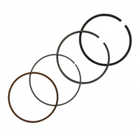 Kit de segments BRIGGS ET STRATTON 843793