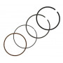 Kit de segments BRIGGS ET STRATTON 843793
