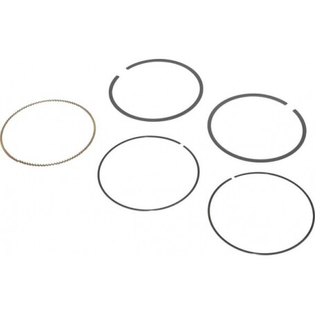 Kit de segments BRIGGS ET STRATTON 797011