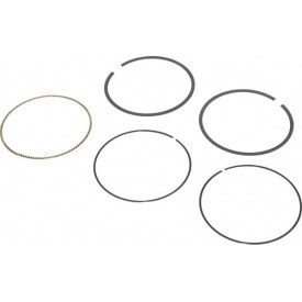 Kit de segments BRIGGS ET STRATTON 797011