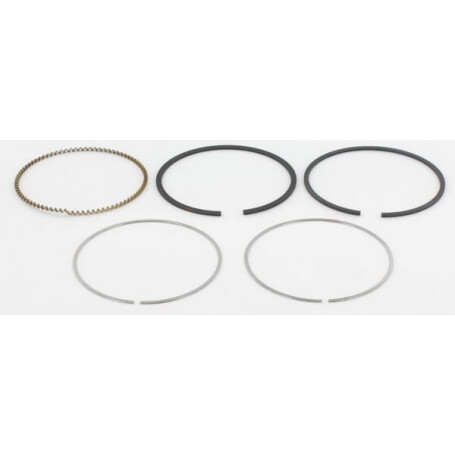 Kit de segments BRIGGS ET STRATTON 795690