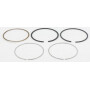 Kit de segments BRIGGS ET STRATTON 795690
