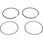 Kit de segments BRIGGS ET STRATTON 791787