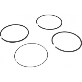 Kit de segments BRIGGS ET STRATTON 694004