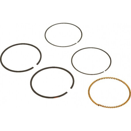 Kit de segments BRIGGS ET STRATTON 590523