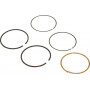 Kit de segments BRIGGS ET STRATTON 590523