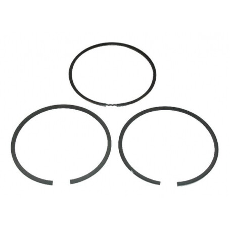 Kit de segments BRIGGS ET STRATTON 499425