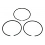 Kit de segments BRIGGS ET STRATTON 499425