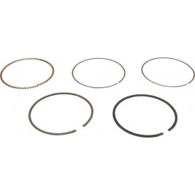 Set de anillos BRIGGS ET STRATTON 843806