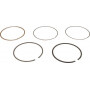 Kit de segments BRIGGS ET STRATTON 843806