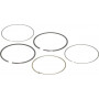 Kit de segments BRIGGS ET STRATTON 792026