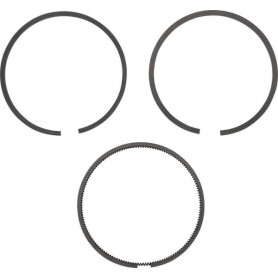 Kit de segments BRIGGS ET STRATTON 495851