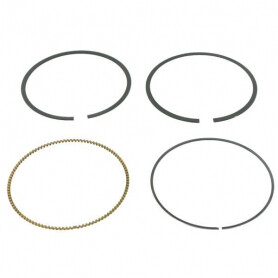Segments Briggs et Stratton 792306 - 792308