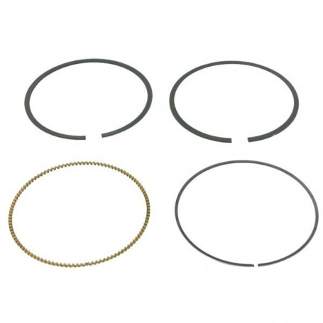 Segments Briggs et Stratton 792306 - 792308