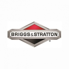 Cylindre BRIGGS ET STRATTON 699505