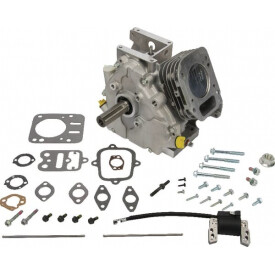 Short Block BRIGGS ET STRATTON 699585