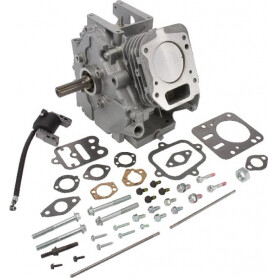 Shortblock BRIGGS ET STRATTON 699582