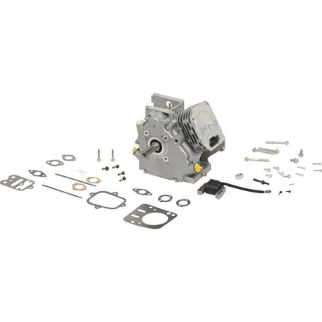 Shortblock BRIGGS ET STRATTON 699579
