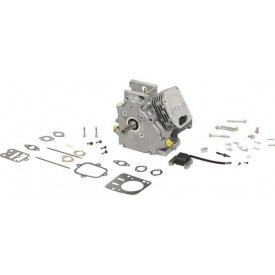Shortblock BRIGGS ET STRATTON 699579