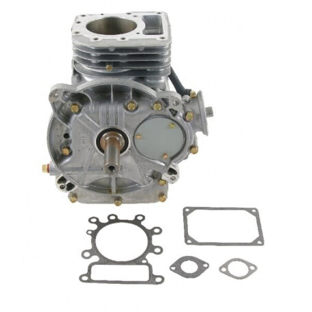 Shortblock BRIGGS ET STRATTON 697739