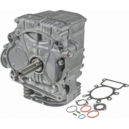 Shortblock BRIGGS ET STRATTON 592056