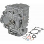 Shortblock BRIGGS ET STRATTON 592056